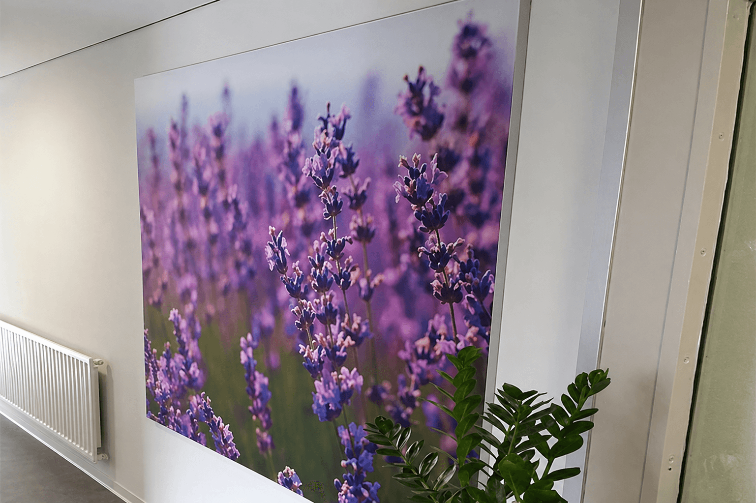 Grote wanddecoratie met fotoprint van paarse lavendelbloemen, strak gemonteerd op een witte binnenmuur als sfeervolle interieurvisual.
