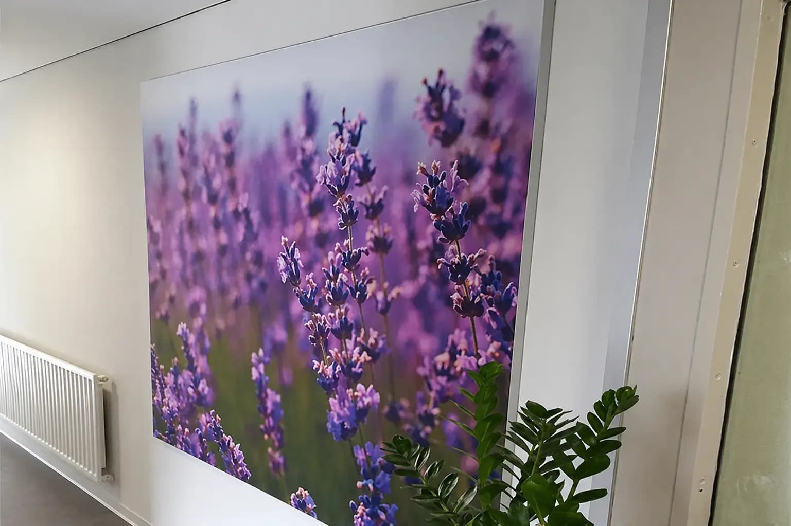Grote wanddecoratie met fotoprint van paarse lavendelbloemen, strak gemonteerd op een witte binnenmuur als sfeervolle interieurvisual.