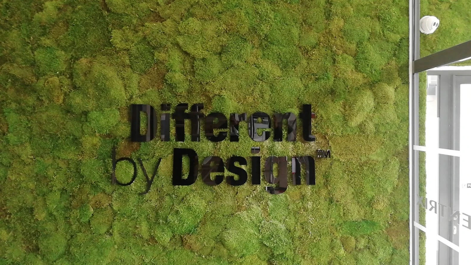 Complete moss wall with a black Different by Design logo