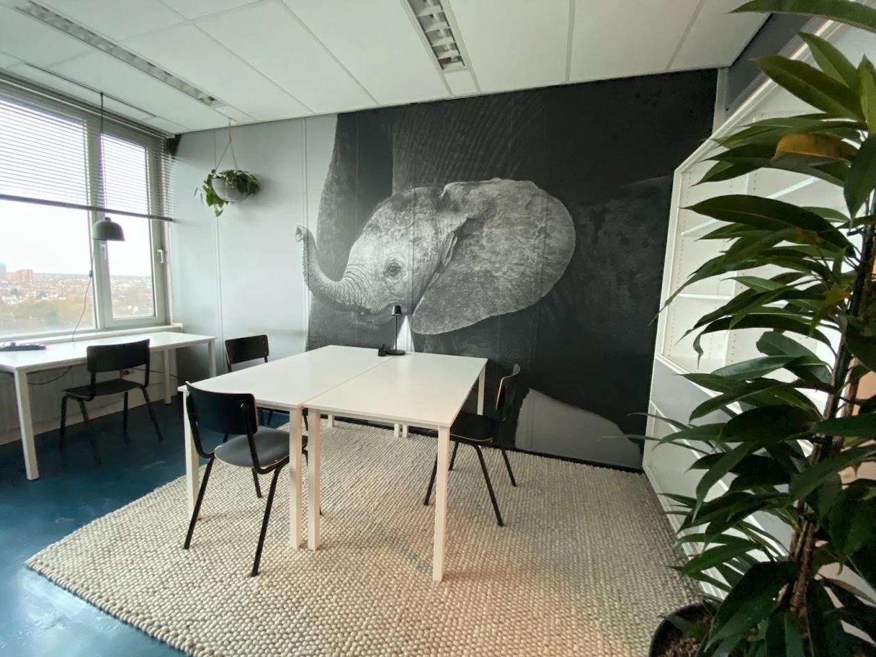 Olifant als zwart-witte wandprint in een kantoor