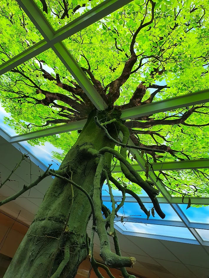 Glass ceiling printed with green leaves around a decorative tree