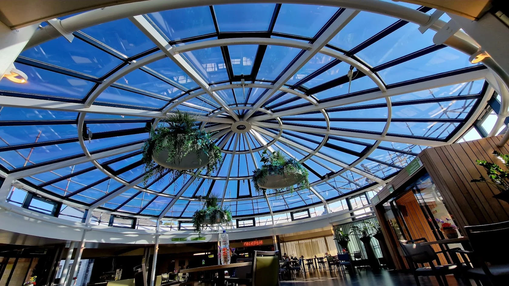 Interior of a large glazed dome above a commercial reception space