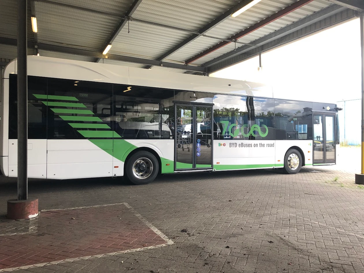 BYD bus with green partial graphics on the white bodywork